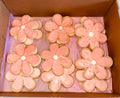 Decorated Sugar Cookies (1 DOZEN)