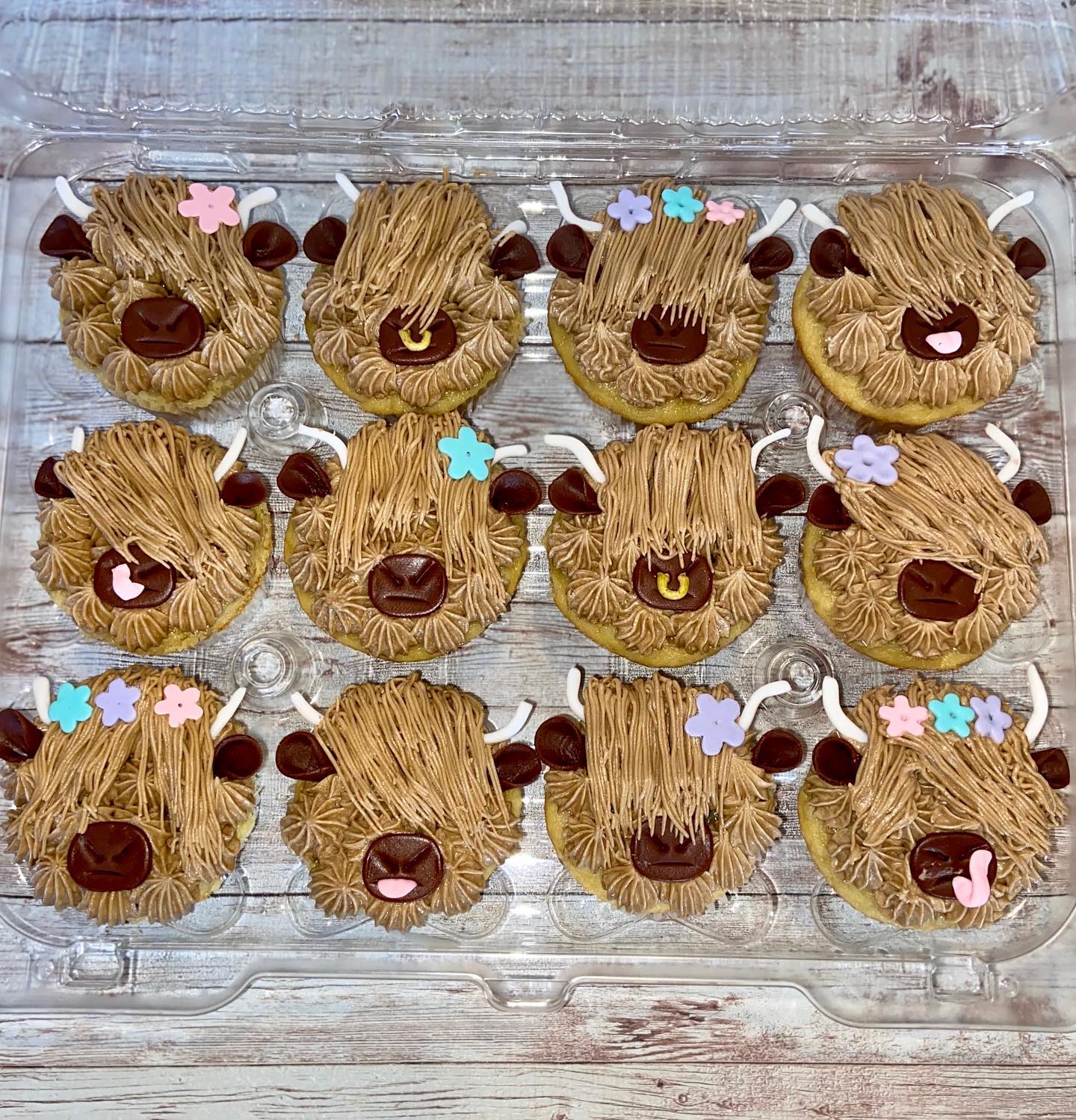 Customise Your Own Cupcakes (1 DOZEN)